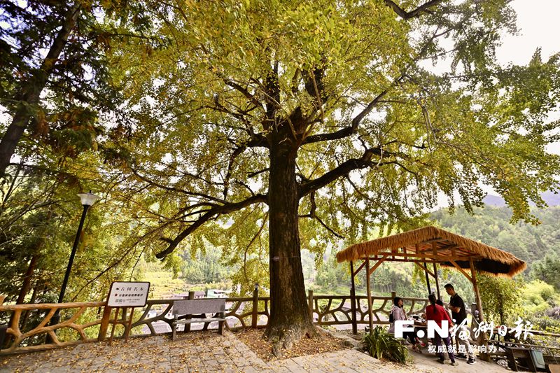 闽侯大湖乡碾坑村焕新记：深山古村撩开面纱